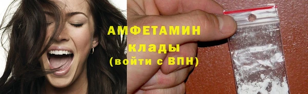 прущие грибы Алзамай