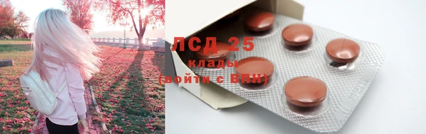 прущие грибы Алзамай