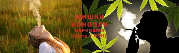 прущие грибы Алзамай
