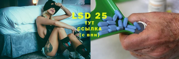 прущие грибы Алзамай