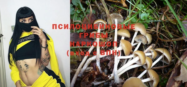 спайс Алексеевка