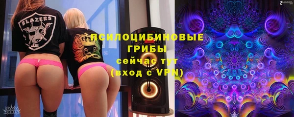 прущие грибы Алзамай